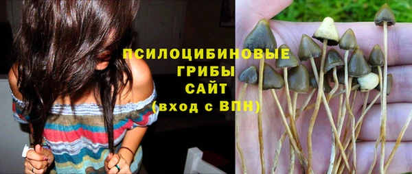 прущая мука Алексин
